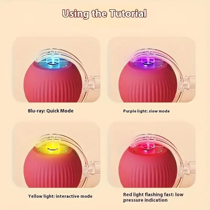 USB Rechargeable Interactive Cat Toy Ball with Tail & Bird Sound | Automatic Rolling Smart Cat Toy for Indoor Cats & Dogs | Chew Ball Pet Exercise Toy | General Store India
