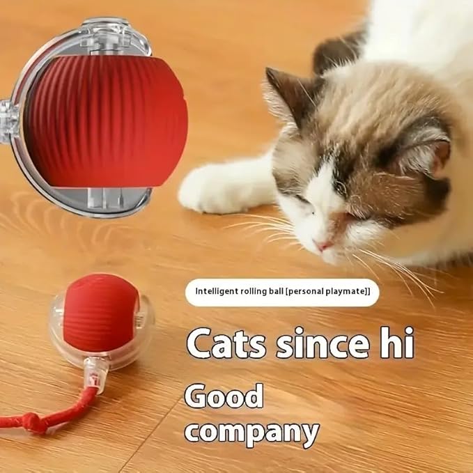 USB Rechargeable Interactive Cat Toy Ball with Tail & Bird Sound | Automatic Rolling Smart Cat Toy for Indoor Cats & Dogs | Chew Ball Pet Exercise Toy | General Store India