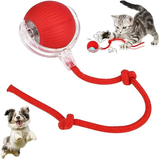 USB Rechargeable Interactive Cat Toy Ball with Tail & Bird Sound | Automatic Rolling Smart Cat Toy for Indoor Cats & Dogs | Chew Ball Pet Exercise Toy | General Store India