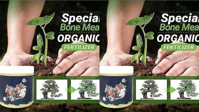 Special Bone Meal Organic Fertilizer for Flowering & Fruiting Plants (Pack of 2) | Natural Plant Growth Booster for Flowers, Fruits & Root Development | General Store India