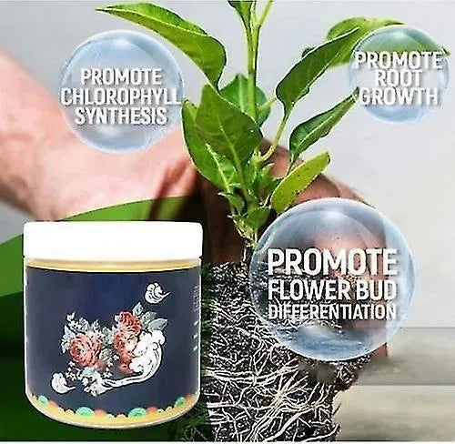 Special Bone Meal Organic Fertilizer for Flowering & Fruiting Plants (Pack of 2) | Natural Plant Growth Booster for Flowers, Fruits & Root Development | General Store India