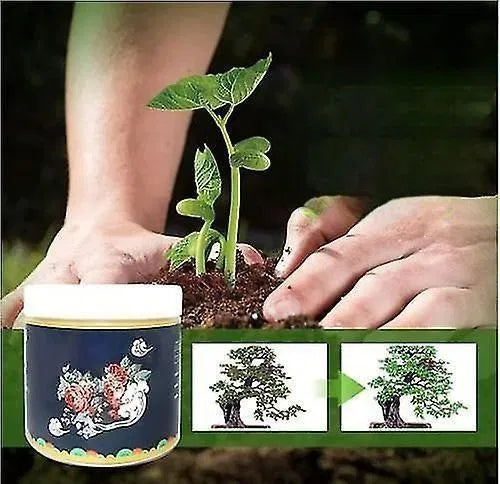 Special Bone Meal Organic Fertilizer for Flowering & Fruiting Plants (Pack of 2) | Natural Plant Growth Booster for Flowers, Fruits & Root Development | General Store India